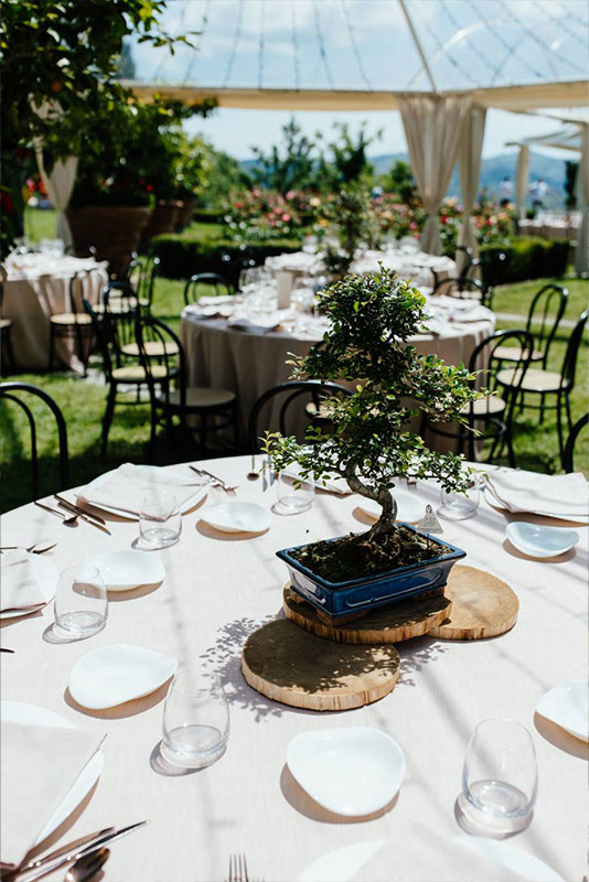 Mariage végétalien